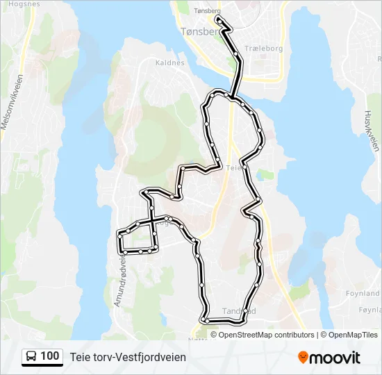100 Bus Line Map