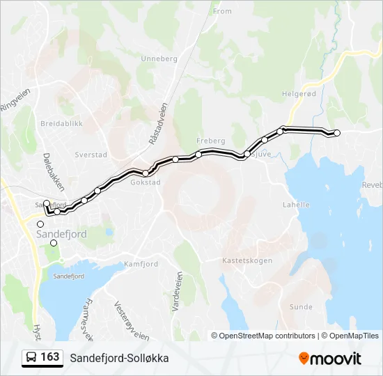 163 Bus Line Map