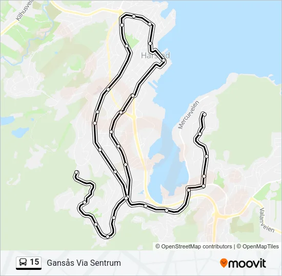 15 Bus Line Map