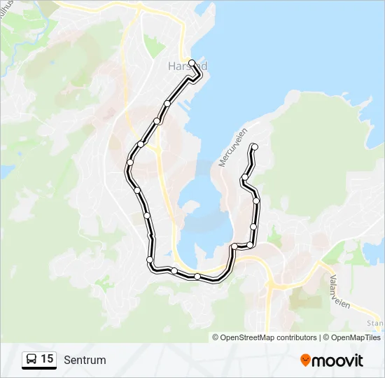 15 Bus Line Map
