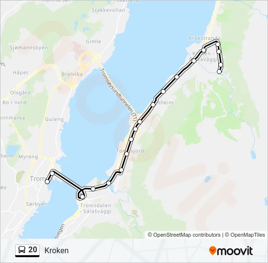 20 Bus Line Map