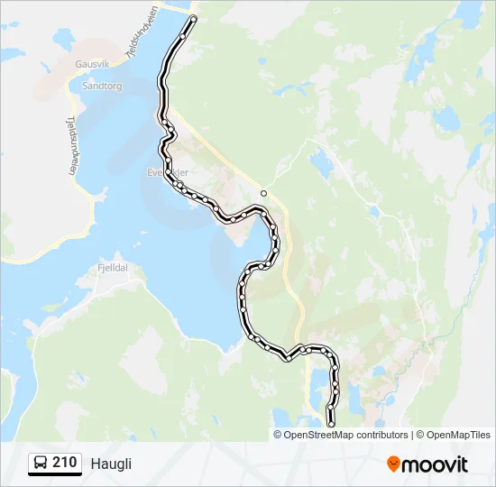210 Bus Line Map