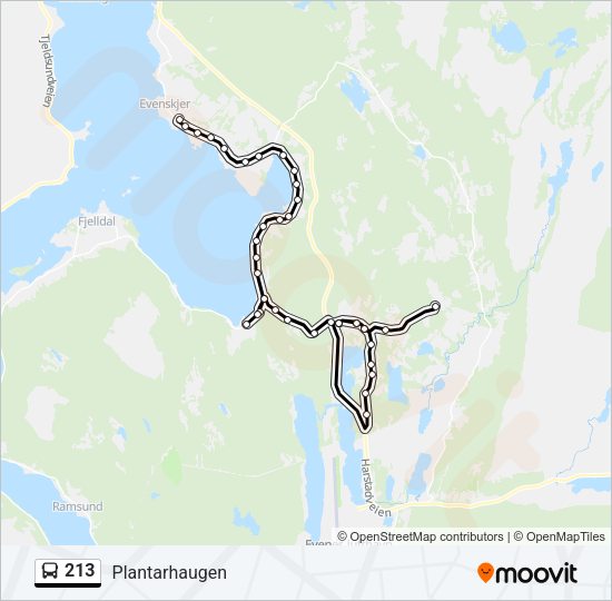 213 Bus Line Map