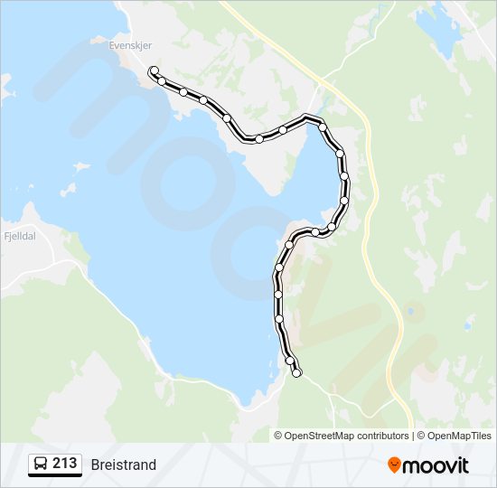 213 Bus Line Map