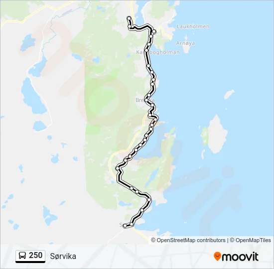 250 Bus Line Map
