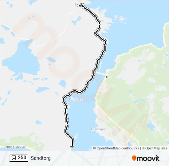 250 Bus Line Map