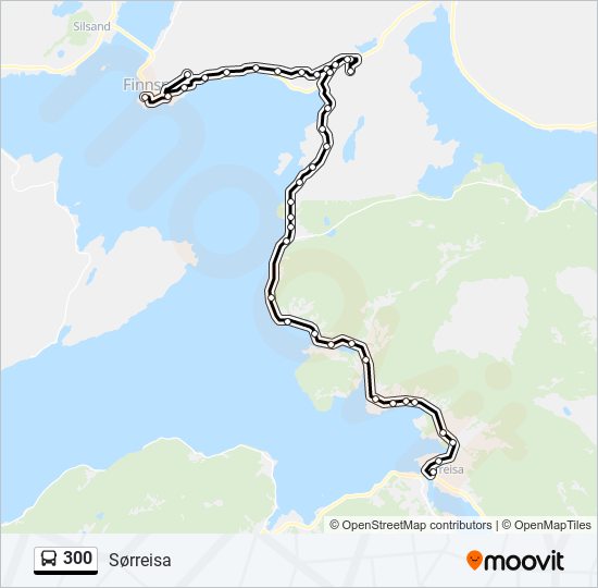 300 bus Line Map