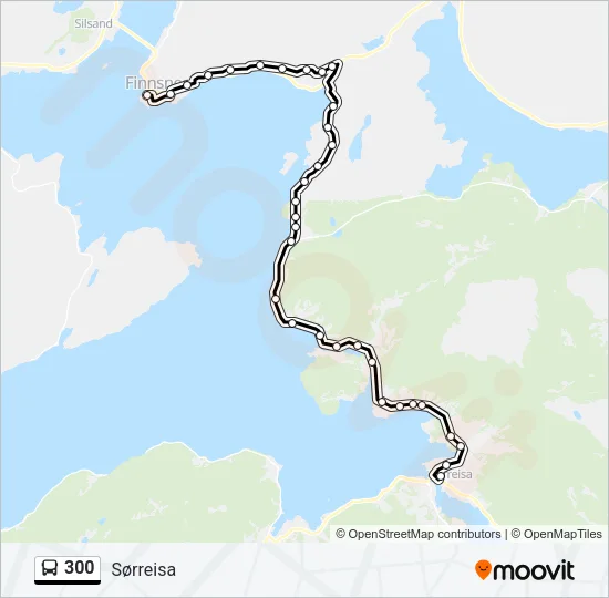 300 Bus Line Map