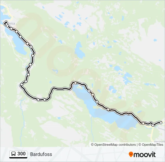 300 Bus Line Map
