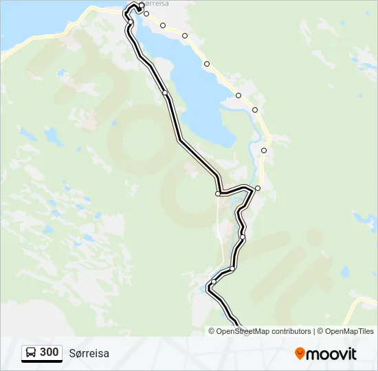 300 Bus Line Map