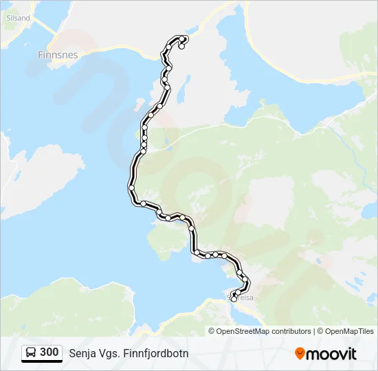 300 Bus Line Map