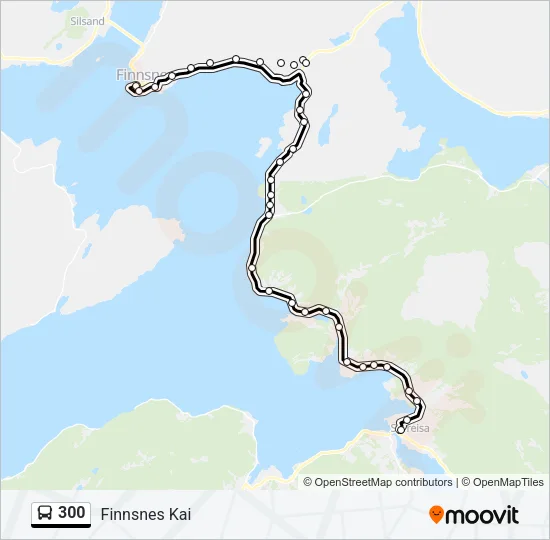 300 Bus Line Map