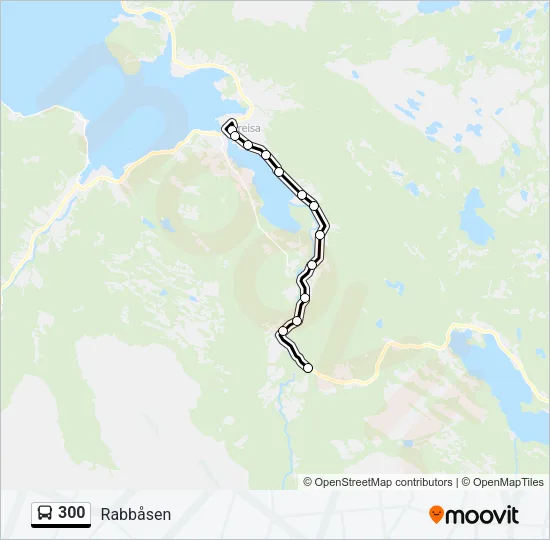 300 Bus Line Map
