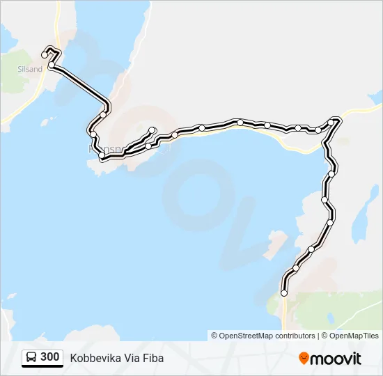 300 Bus Line Map