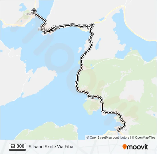 300 Bus Line Map