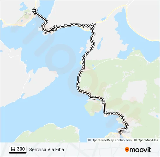 300 Bus Line Map