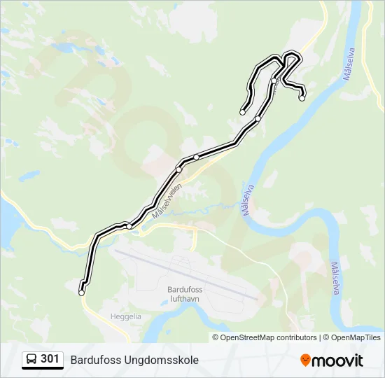 301 buss Linjekart