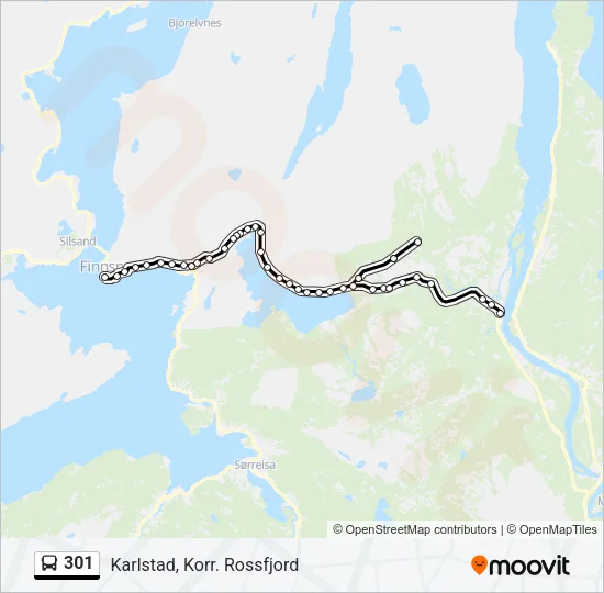 301 Bus Line Map