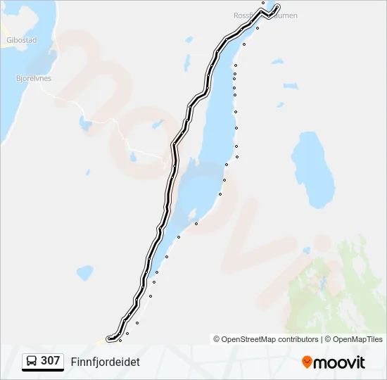 307 Bus Line Map