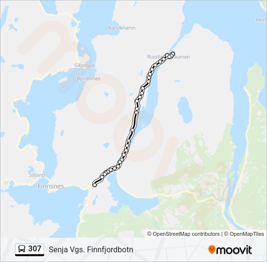 307 Bus Line Map