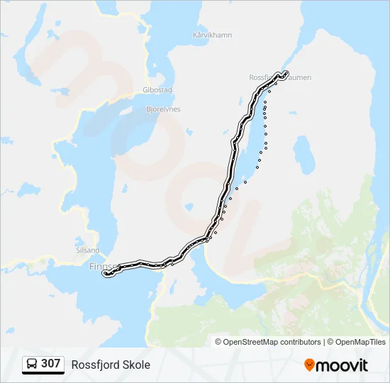 307 Bus Line Map