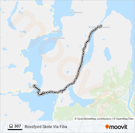 307 Bus Line Map