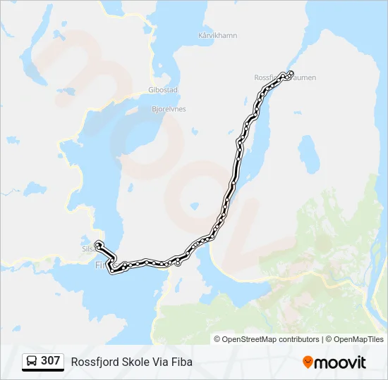 307 Bus Line Map