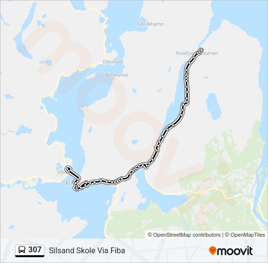 307 Bus Line Map