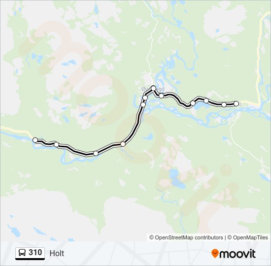 310 Bus Line Map