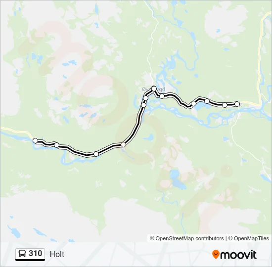 310 Bus Line Map
