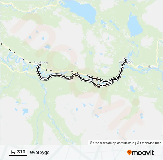 310 Bus Line Map