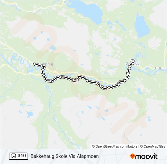 310 Bus Line Map