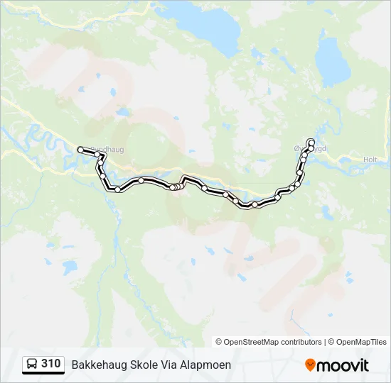 310 Bus Line Map