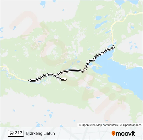 317 Bus Line Map
