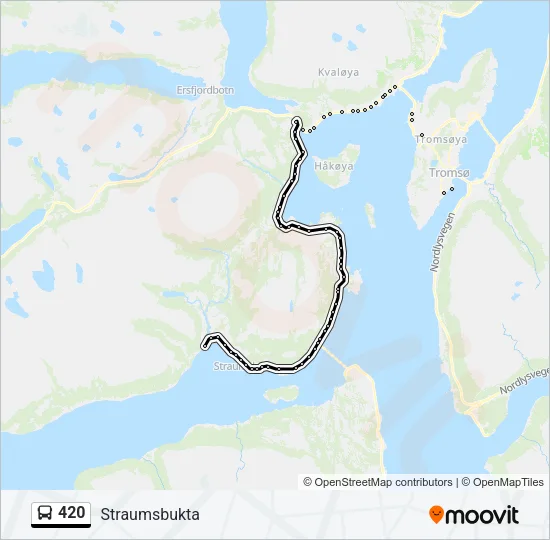 420 buss Linjekart