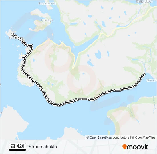 420 buss Linjekart