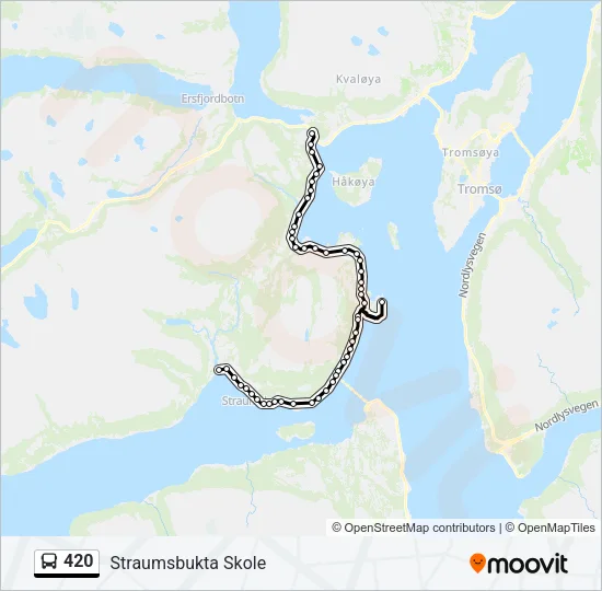 420 buss Linjekart