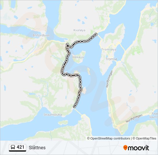 421 Bus Line Map
