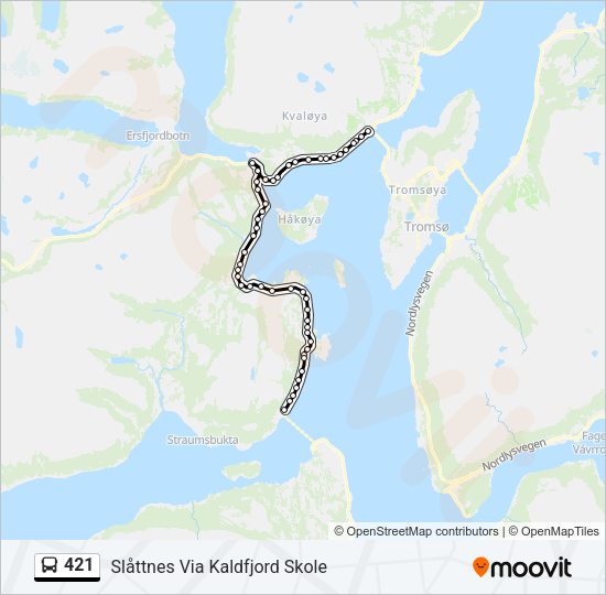 421 Bus Line Map