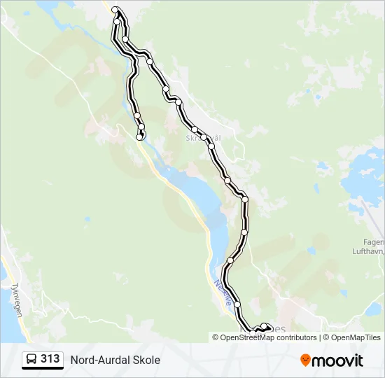 313 Bus Line Map