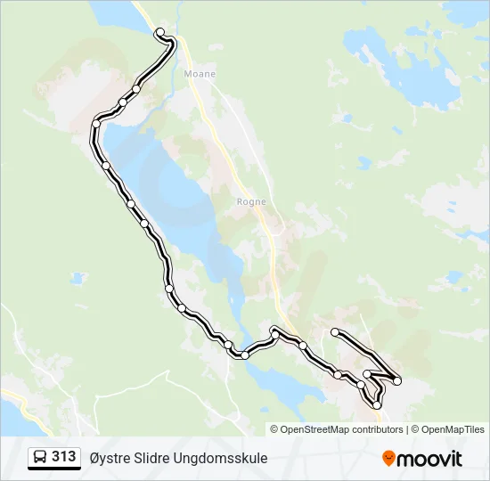 313 Bus Line Map
