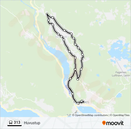 313 Bus Line Map