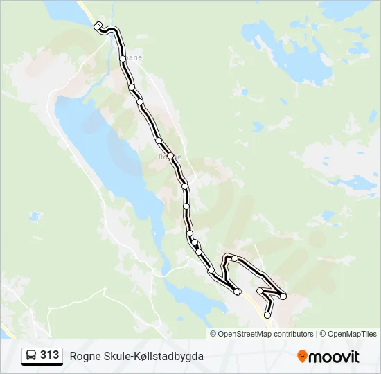 313 Bus Line Map