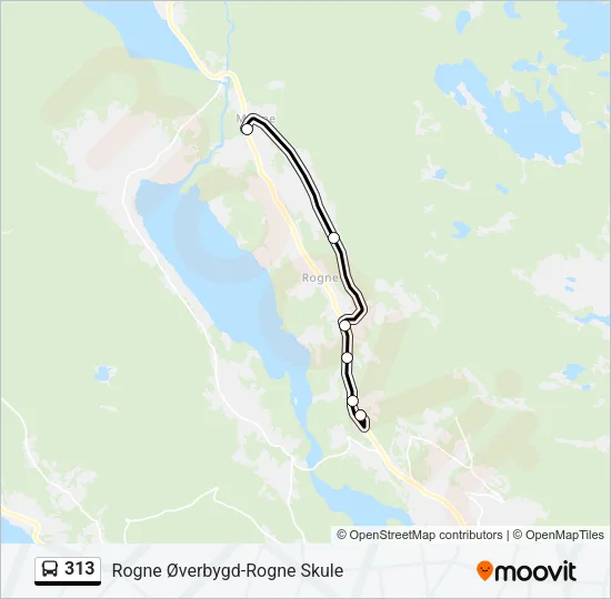 313 Bus Line Map