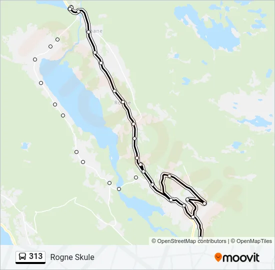 313 Bus Line Map