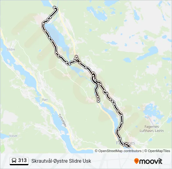 313 Bus Line Map