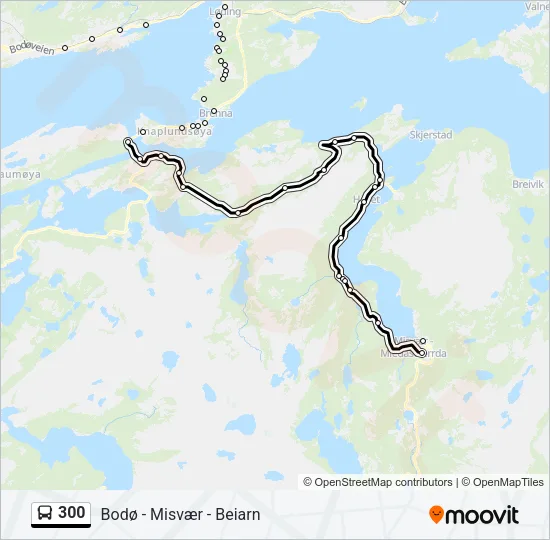 300 Bus Line Map