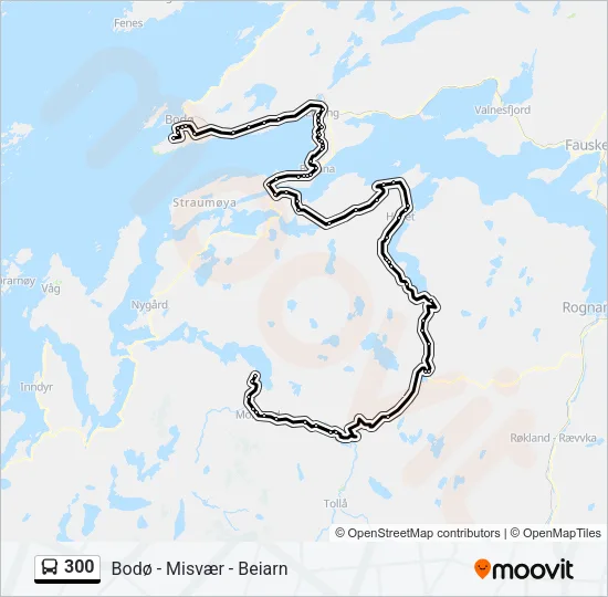 300 Bus Line Map