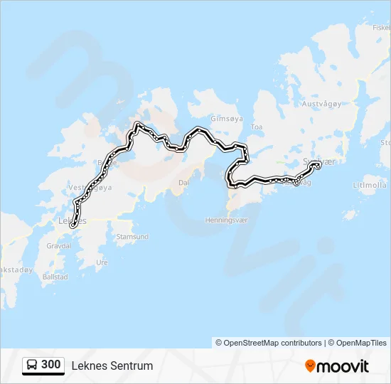 300 Bus Line Map
