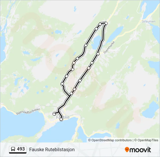 493 Bus Line Map